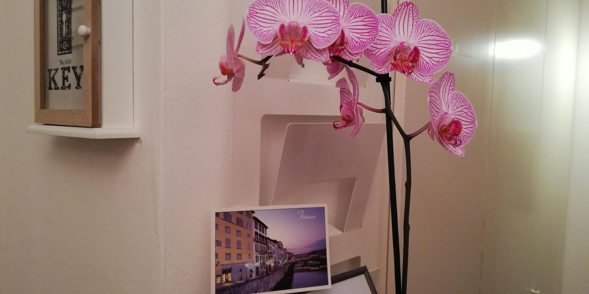 Albergo Duilio Florenz Exterior foto